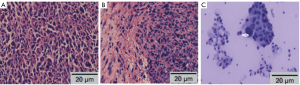 Click on image to zoom Figure 3