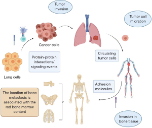 Click on image to zoom