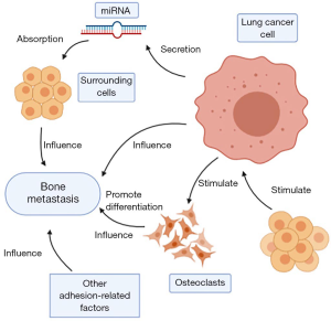 Click on image to zoom