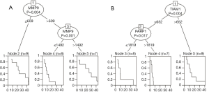 Click on image to zoom