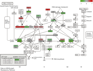 Click on image to zoom