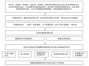 Click on image to zoom 图1