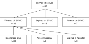 Click on image to zoom