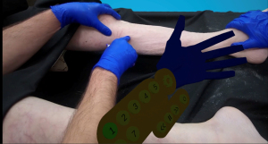Click on image to zoom