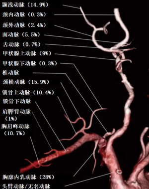 Click on image to zoom 图1