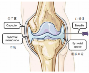 Click on image to zoom 图7