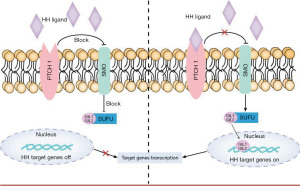 Click on image to zoom