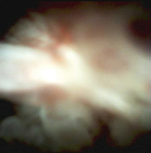 Click on image to zoom