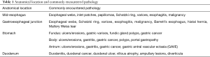 Click on image to zoom Table 1