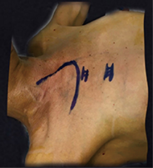 Click on image to zoom