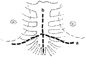 Click on image to zoom