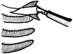 Click on image to zoom