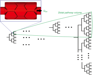 Click on image to zoom