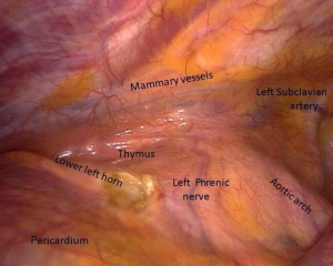Click on image to zoom