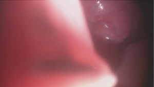 Click on image to zoom