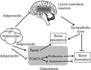 Click on image to zoom