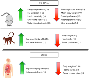 Click on image to zoom