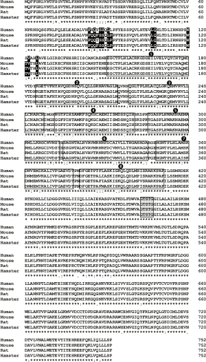 Click on image to zoom