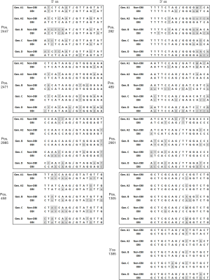 Click on image to zoom