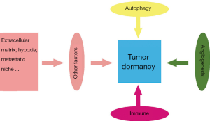 Click on image to zoom