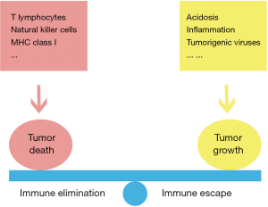 Click on image to zoom