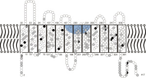 Click on image to zoom