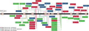 Click on image to zoom