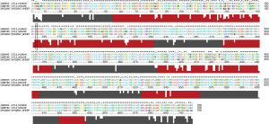 Click on image to zoom