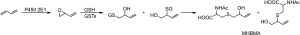 Click on image to zoom