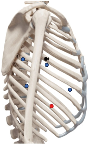 Click on image to zoom