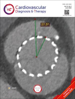 Cardiovascular Diagnosis and Therapy