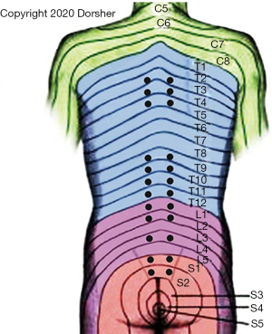 Acupuncture S Neuroanatomic And Neurophysiologic Basis Dorsher Longhua Chinese Medicine