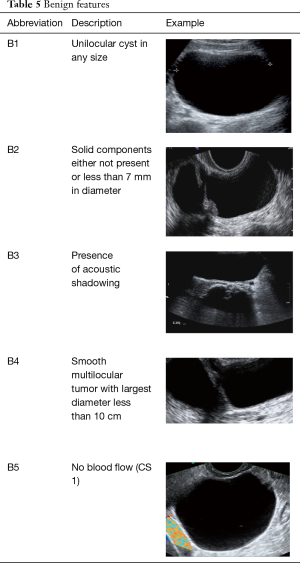 Imaging and diagnostic approach of the adnexal mass: what the ...