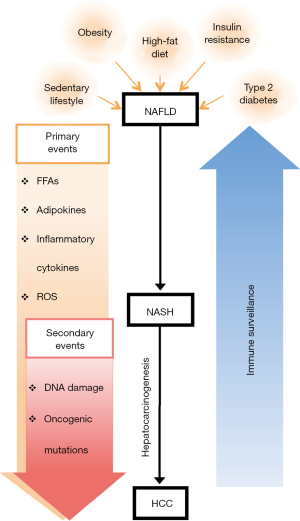 New players in non-alcoholic fatty liver disease induced carcinogenesis ...