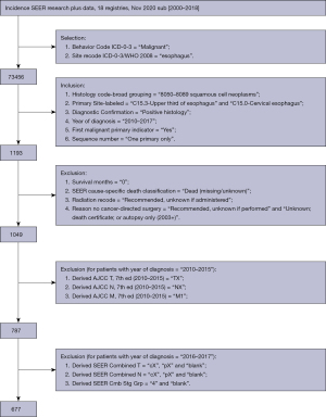 ℛ Renal Ischemia/Reperfusion Injury Activates the Enhancer