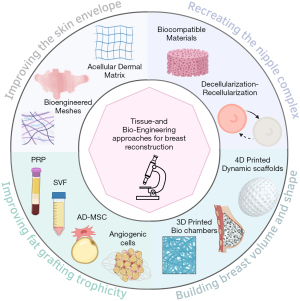 Tissue engineering strategies for breast reconstruction: a literature  review of current advances and future directions - Berkane - Annals of  Translational Medicine