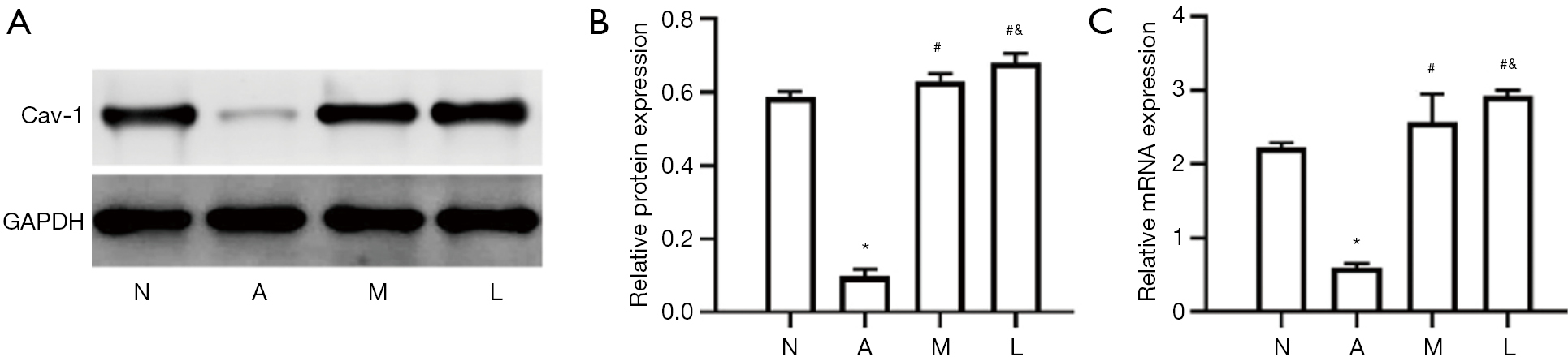 Moxifloxacin Suppresses Airway Inflammation And Modulates Expression Of Caveolin 1 And Flotillin 1 In Airway Smooth Muscle Cells Of Asthmatic Rats Li Annals Of Translational Medicine
