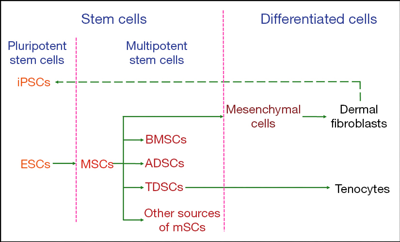 annals of translational medicine ame publishing company
