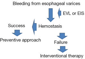 Endoscopic management of esophagogastric varices in Japan 