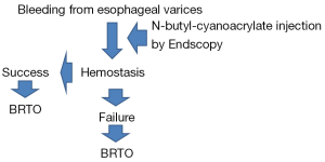 Endoscopic management of esophagogastric varices in Japan 