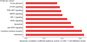 Identification of molecular features correlating with tumor