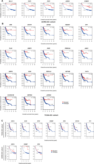 じぇい Identification of molecular features correlating with tumor