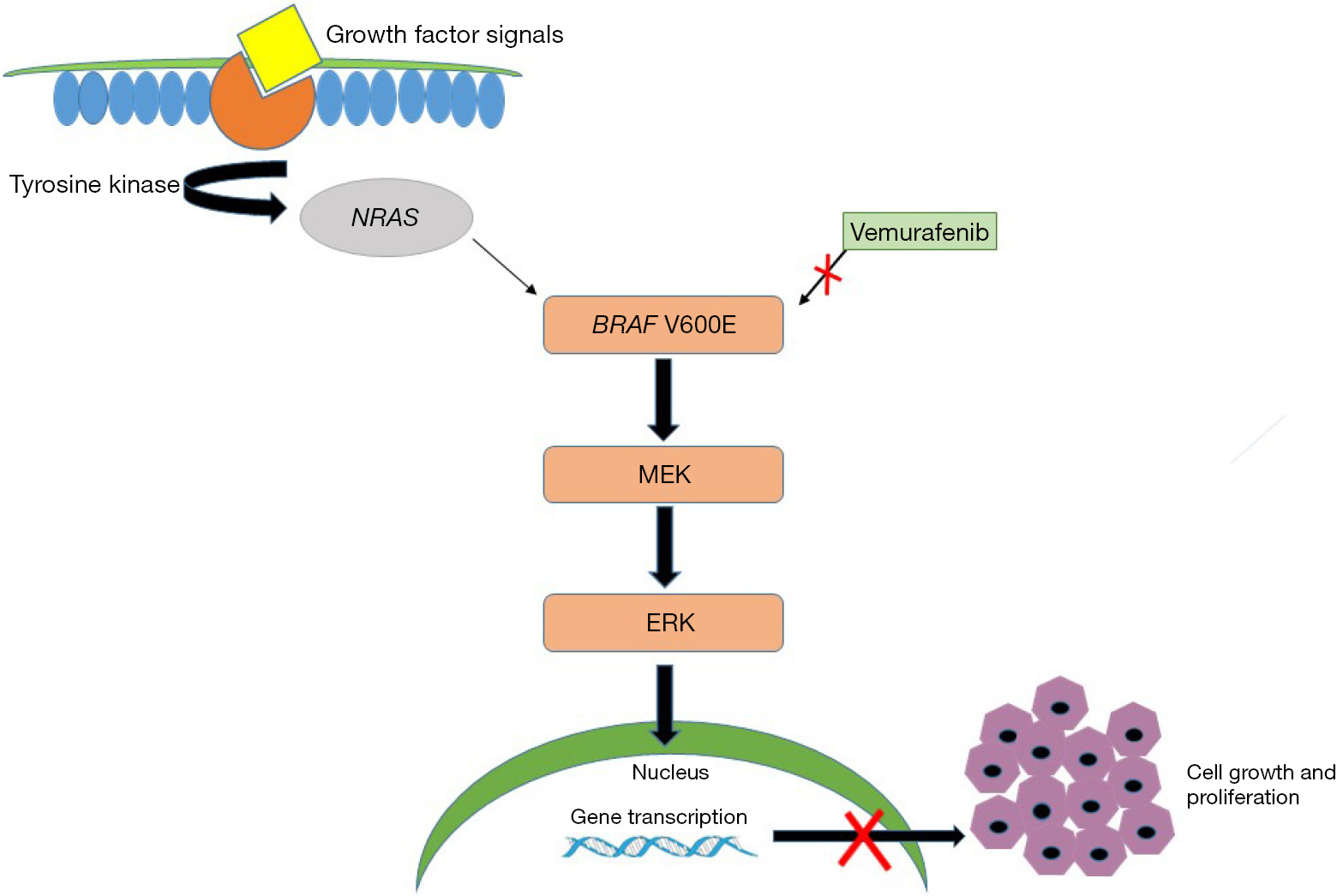 Impact of BRAF mutation status in the prognosis of cutaneous melanoma