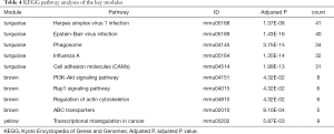 Table 4