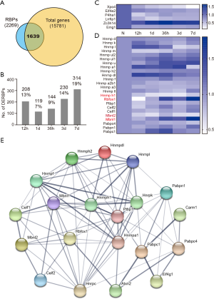 Global alternative splicing landscape of skeletal muscle