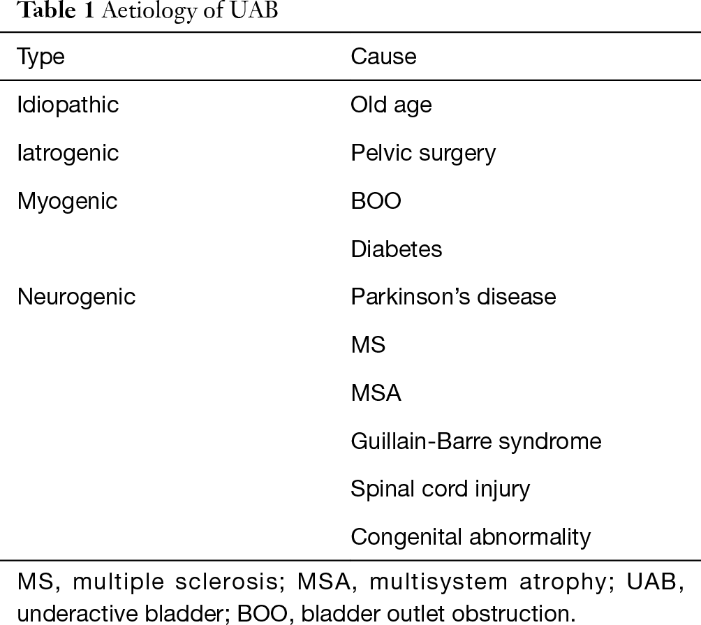 The Underactive Bladder Diagnosis And Surgical Treatment Options Gani Translational Andrology And Urology
