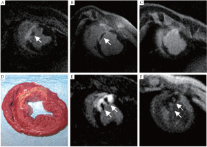 QIMS-2011-11-figure2.png