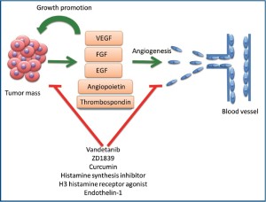 TGC-2011-08-figure2.jpg