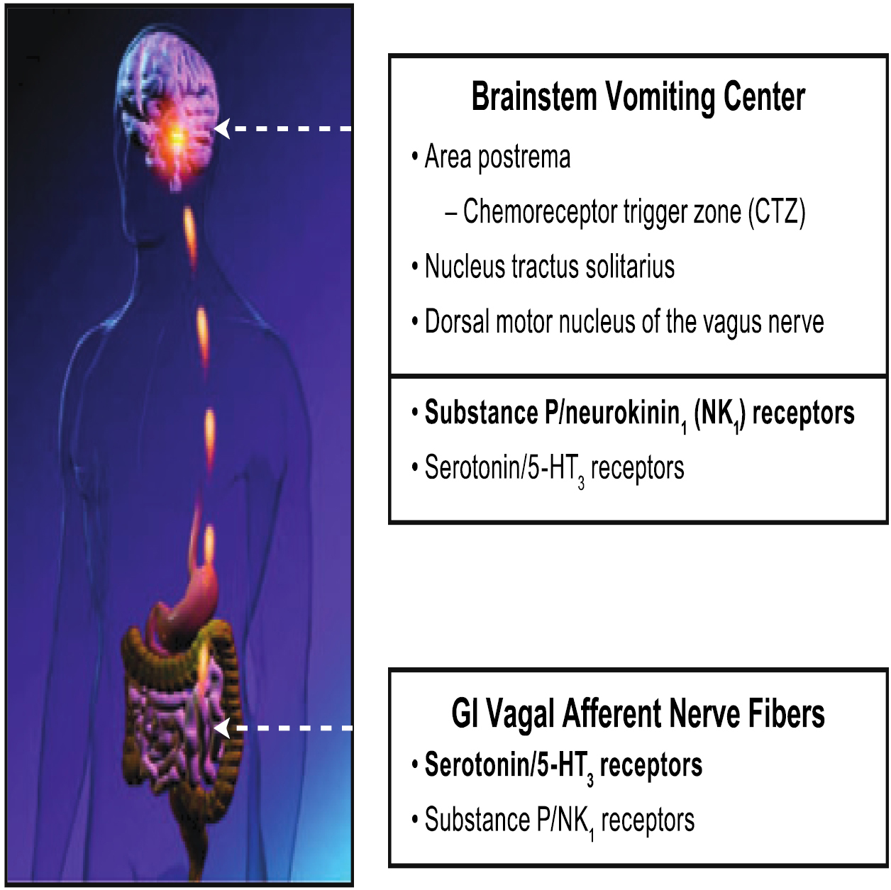 Neurokinin 1 Receptor Antagonists For Chemotherapy Induced Nausea And Vomiting Aziz Annals Of Palliative Medicine