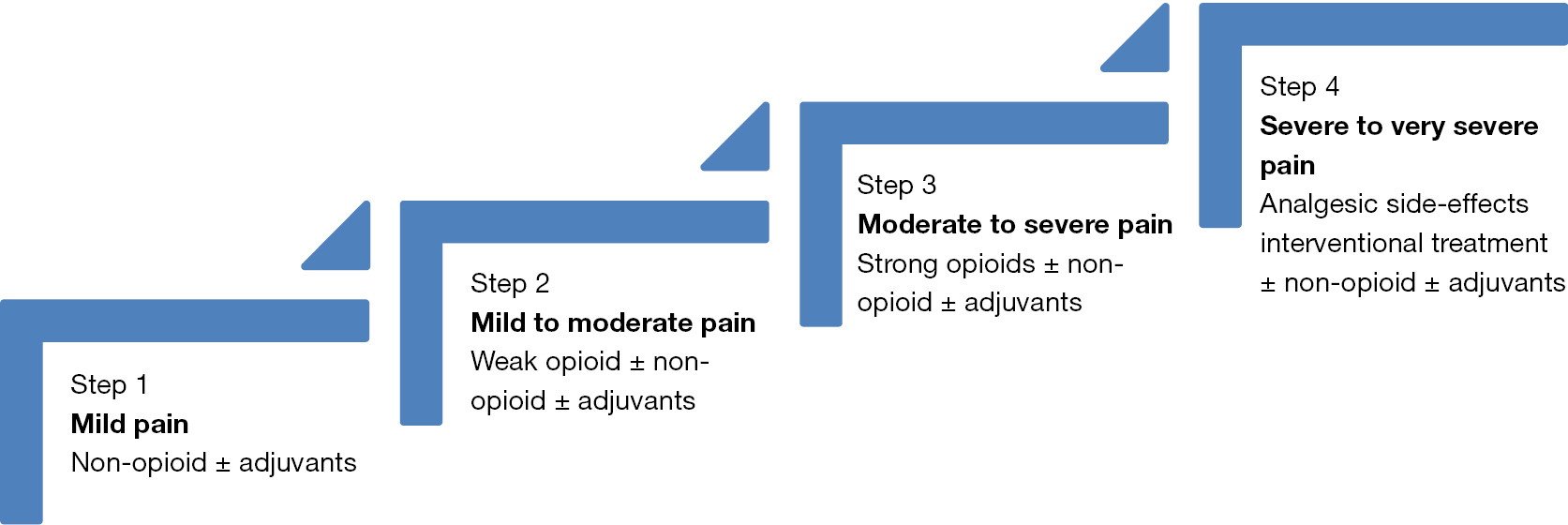 Integrated Pain And Palliative Medicine Model Bhatnagar Annals Of Palliative Medicine